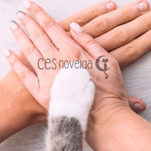 Haz un donativo Haz un donativo